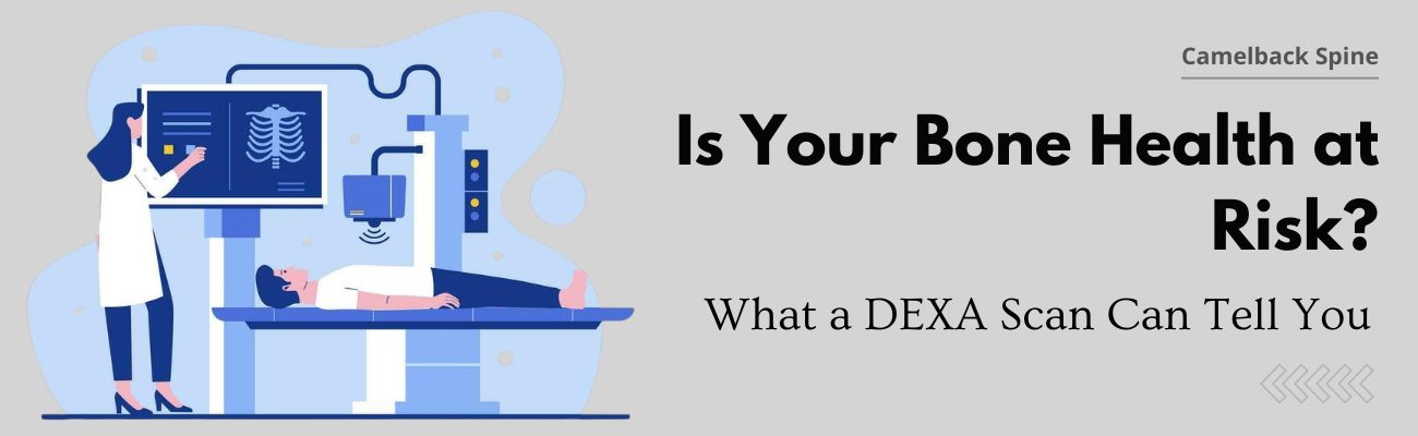 What Is a DEXA Scan and Do You Really Need One?